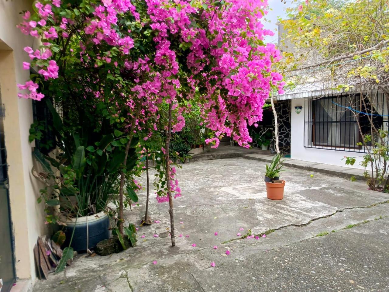Posada Familiar Papantla エクステリア 写真